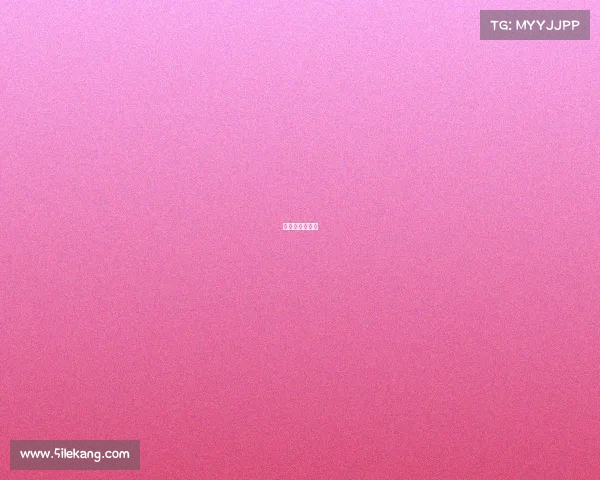 南宁市龙舟比赛